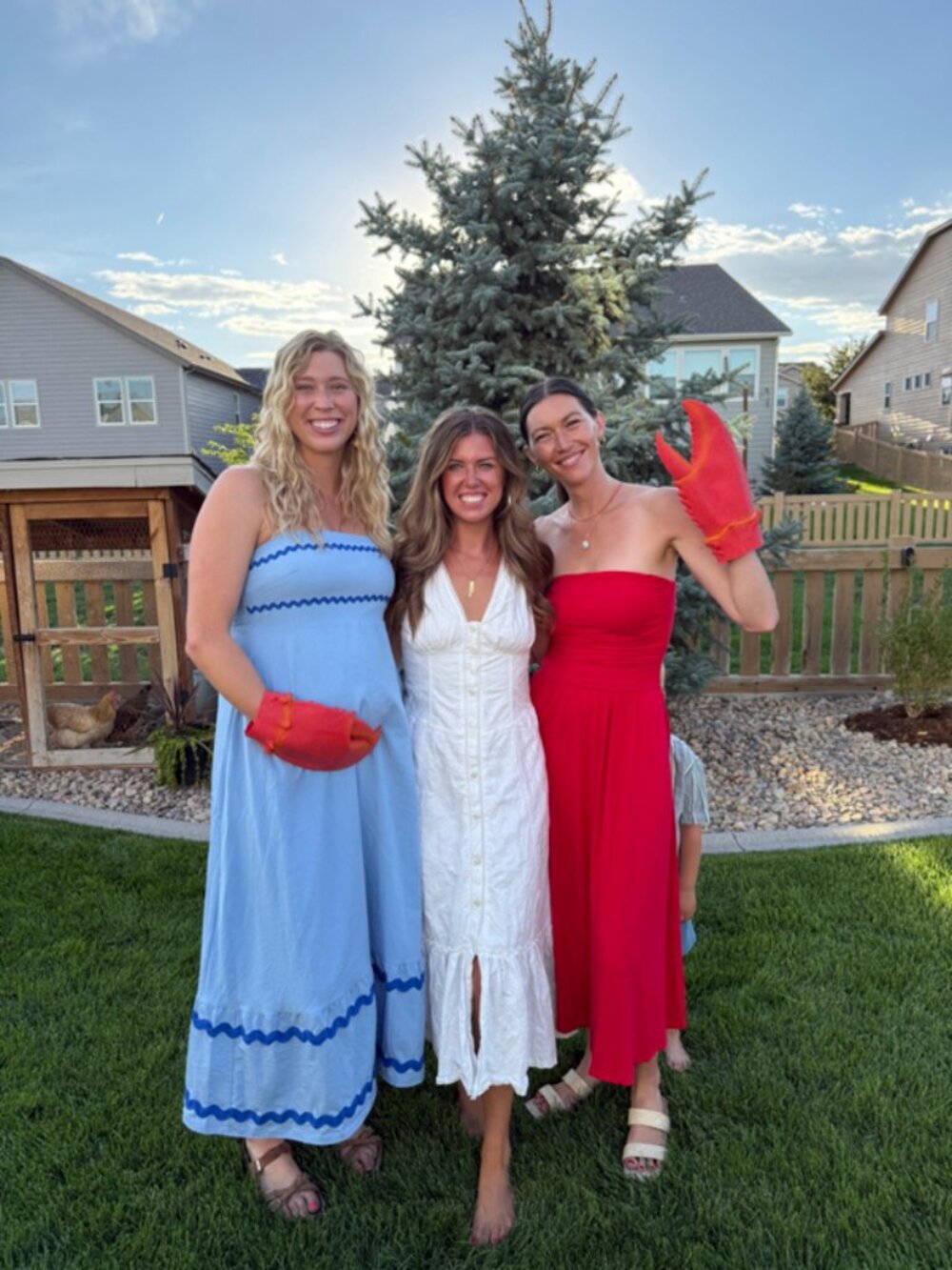 NWT Anthropologie Eyelet V-Neck Sleeveless Midi Dress - Picture 5 of 5